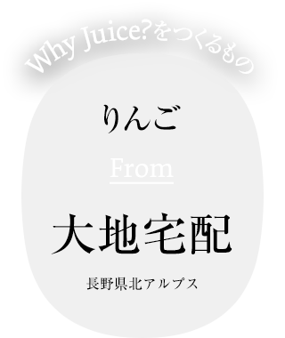 りんご From 大地宅配 長野県北アルプス