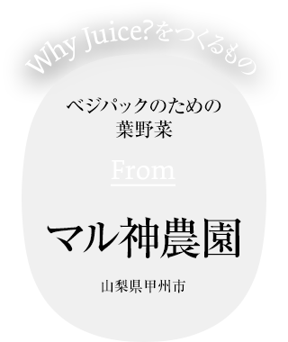 ベジパックのための葉野菜 From マル神農園 山梨県甲州市