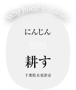 にんじん From 耕す 千葉県木更津市