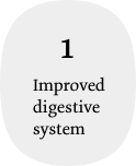 1 Improved digestive system