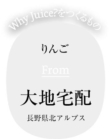 りんご From 大地宅配 長野県北アルプス