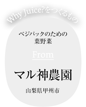 ベジパックのための葉野菜 From マル神農園 山梨県甲州市