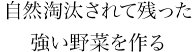 自然淘汰されて残った強い野菜を作る