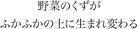 野菜のくずがふかふかの土に生まれ変わる