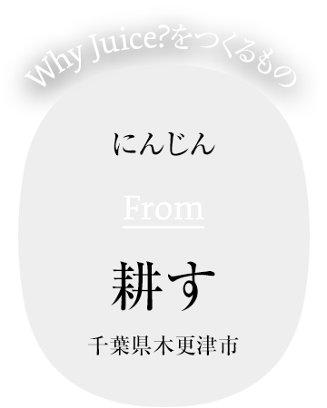 にんじん From 耕す 千葉県木更津市