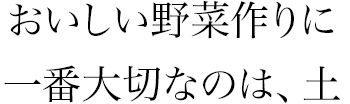 おいしい野菜作りに一番大切なのは、土